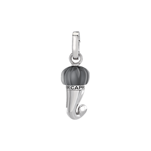 Et Voilà Hörner Anhänger Silber
Nummer 43673