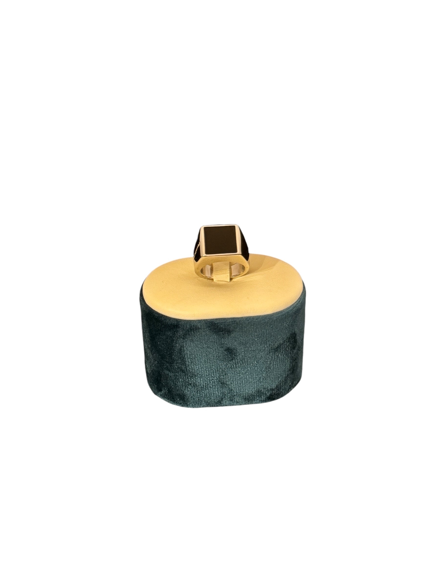 Pianegonda Unisex Silver Ring with Black Onyx - AA010507
