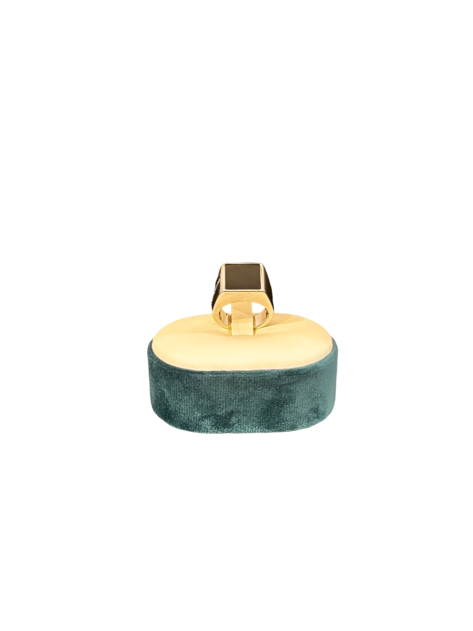 Pianegonda Unisex Silver Ring with Black Onyx - AA010507