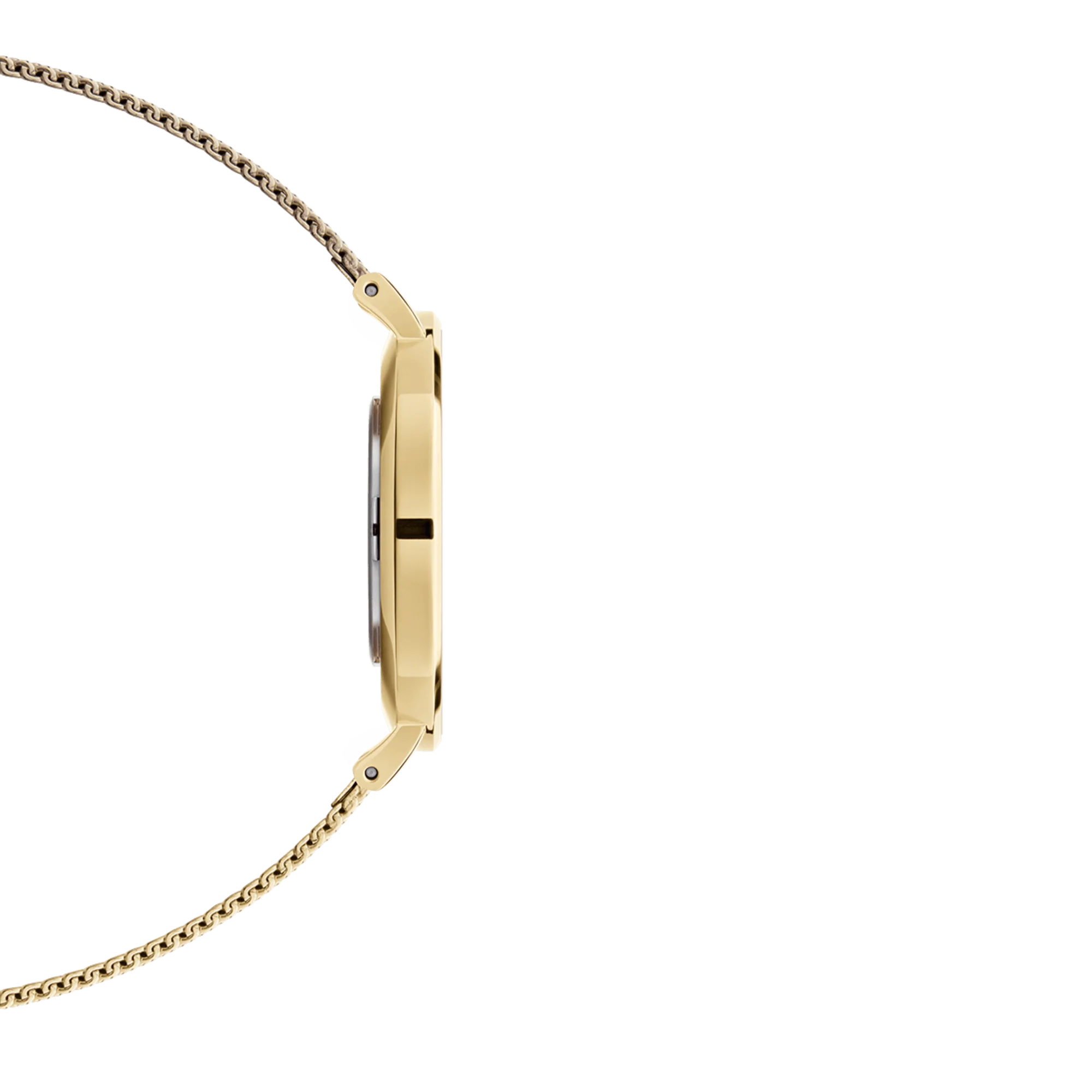 Orologio Daniel Wellington Petite Evergold, cinturino color oro e quadrante bianco, 32mm - DW00100348