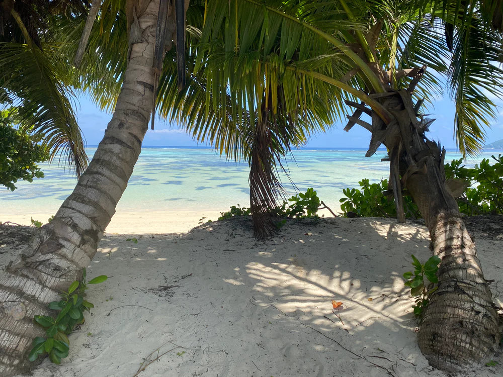 LUCEDEIMEIOCCHI Silberohrringe, Seychellen-Kollektion, Mop-Gesäß und Perle – LDMO 542
