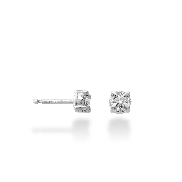 Golay – 0,52 ct Diamant-Zwischen-den-Bugs-Ohrringe mit heller Perle – OPLC421DI23