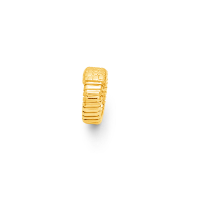 ANELLO GIOVANNI RASPINI IN ARGENTO DORATO, tubogas croco - 12545