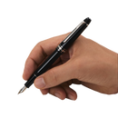 Meisterstück Platinum-Coated Fountain Pen - 132468