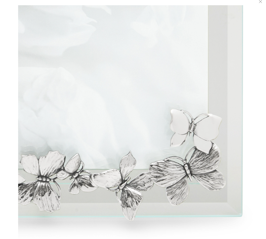 Cornice Giovanni Raspini luce farfalle orizzontale grande - 2275