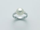 SOUTH SEA PEARL SET - PLI1638A
