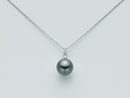 SOUTH SEA PEARL SET - PCL2838T