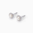 Mabina Donna - Orecchini lobo con perle coltivate MILANESIENNE - 563553