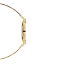 Orologio Daniel Wellington Petite Evergold, cinturino color oro e quadrante bianco, 32mm - DW00100348