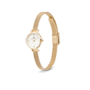 Orologio Daniel Wellington Petite Mini Evergold, 19mm - DW00100745