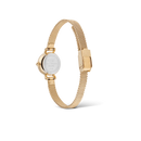 Orologio Daniel Wellington Petite Mini Evergold, 19mm - DW00100745