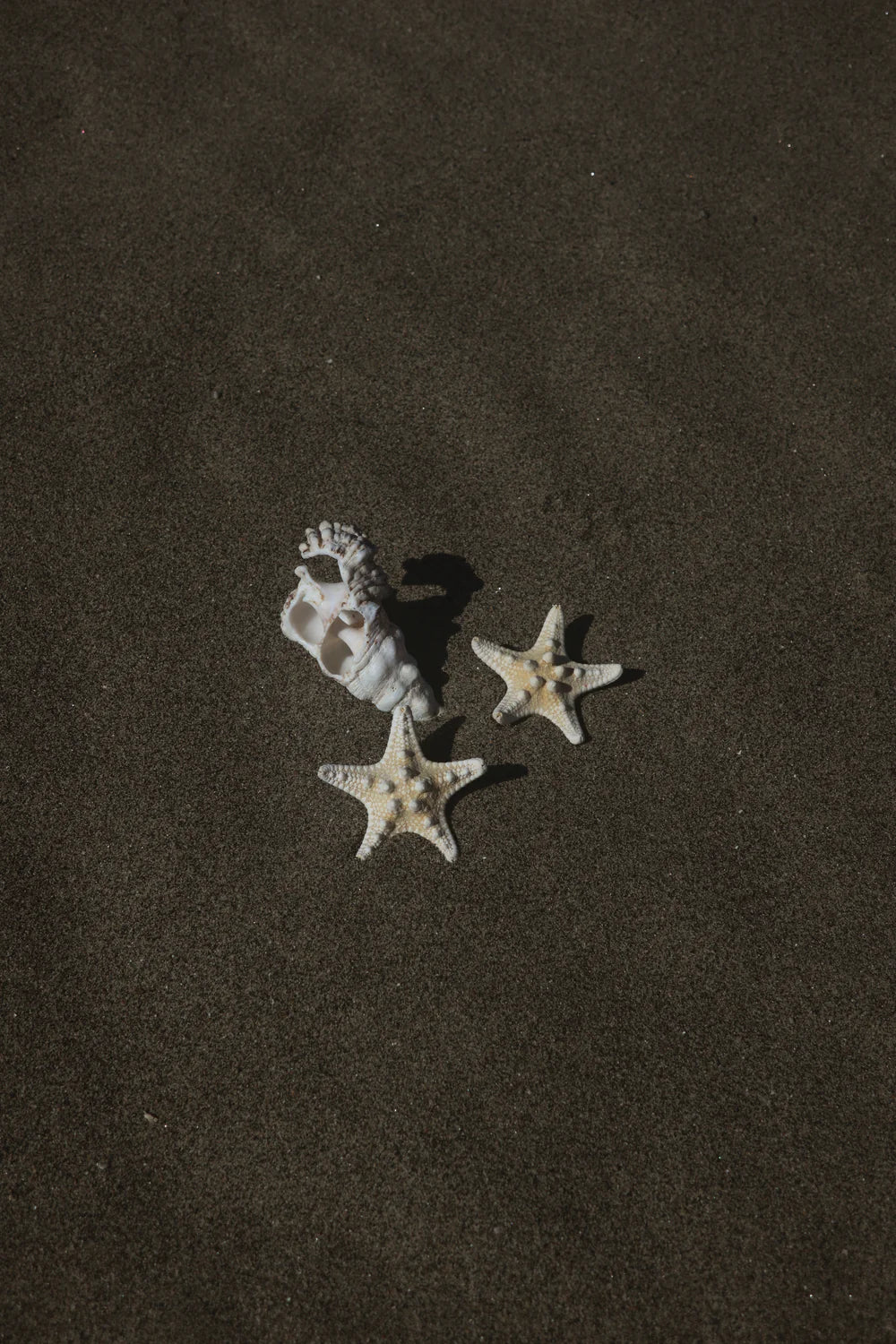 ORECCHINI argento LUCEDEIMIEIOCCHI, Collezione Seychelles, stella marina - LDMO 553
