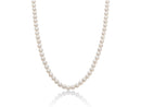 PEARL NECKLACES WITH CLOSURE - PCL6576